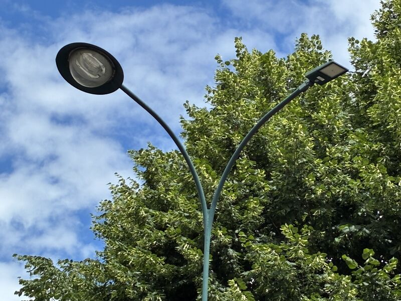 Cad é an dath is coitianta le haghaidh cuaillí soilsithe sráide agus luminaires?